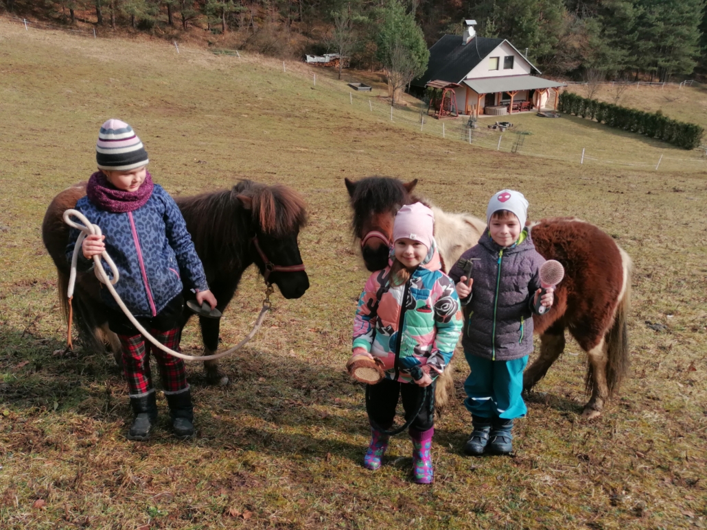 fotka pony krúžok